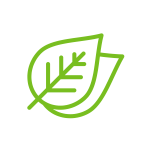 noun_Ecology_2398635